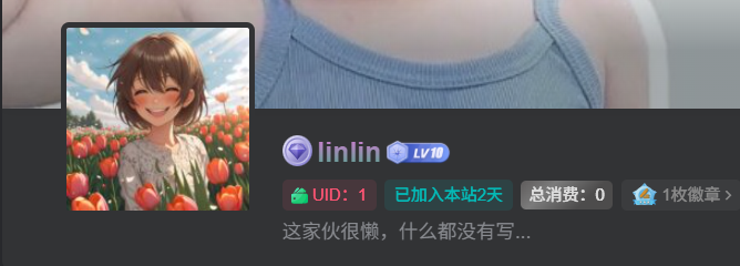 子比主题美化 – 给昵称添加彩色流光特效-霖霖博客